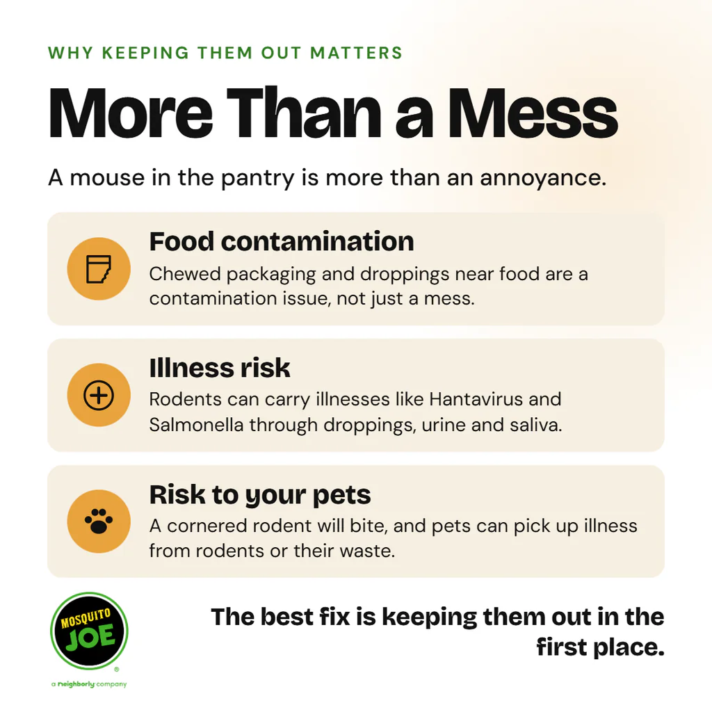 three cards cover food contamination, illness risk, and risk to your pets. I used warm amber and cream with no red or black, so it reads as helpful rather than scary. The footer line is “The best fix is keeping them out in the first place.”